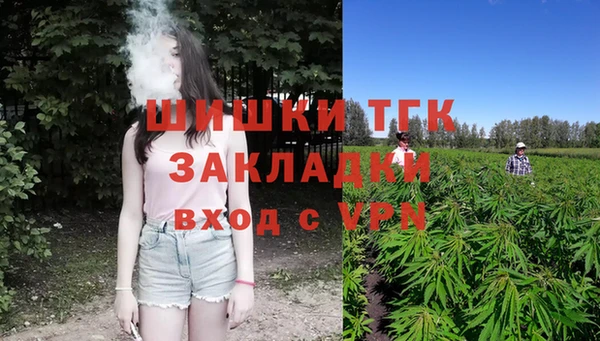 ПСИЛОЦИБИНОВЫЕ ГРИБЫ Балабаново